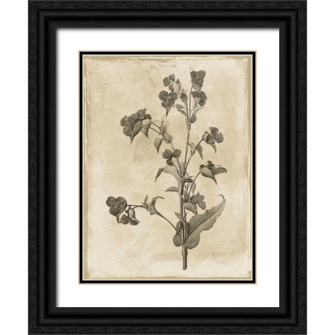 Earthy floral 4 Black Ornate Wood Framed Art Print with Double Matting by Grey, Jace