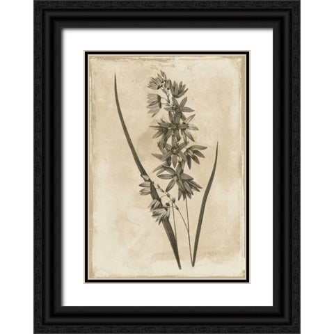 Floral Earthtone Black Ornate Wood Framed Art Print with Double Matting by Grey, Jace