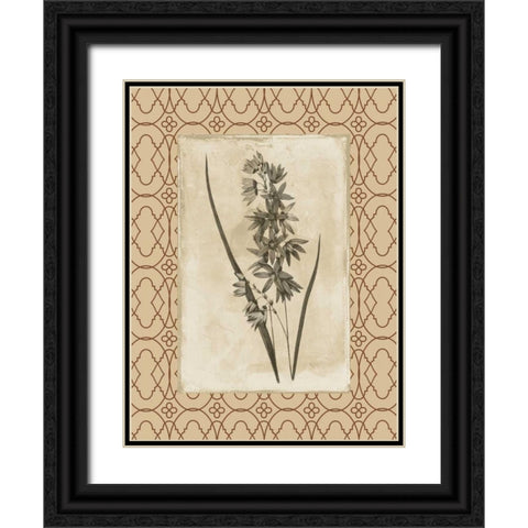 Floral bordered Black Ornate Wood Framed Art Print with Double Matting by Grey, Jace