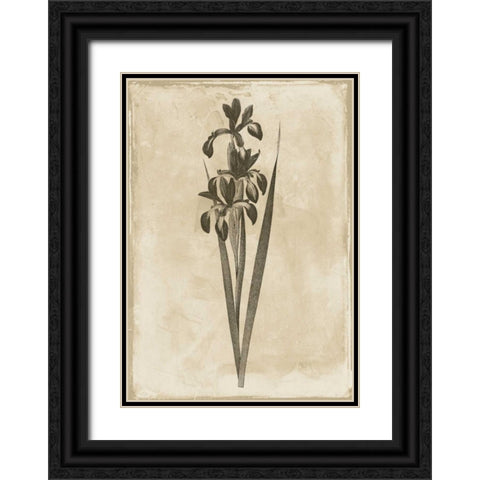 Floral Earthtone Two Black Ornate Wood Framed Art Print with Double Matting by Grey, Jace