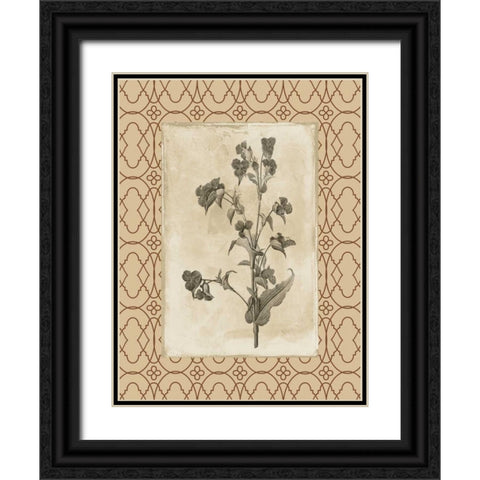 Floral bordered 3 Black Ornate Wood Framed Art Print with Double Matting by Grey, Jace