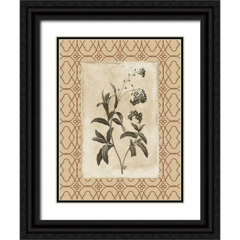Floral bordered 4 Black Ornate Wood Framed Art Print with Double Matting by Grey, Jace