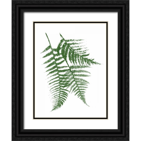 Green Ferns Mate Black Ornate Wood Framed Art Print with Double Matting by Grey, Jace