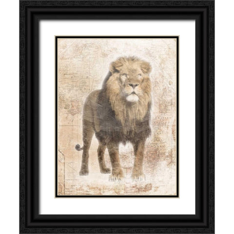 African Lion Black Ornate Wood Framed Art Print with Double Matting by Grey, Jace