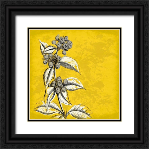 Flowers 3 Black Ornate Wood Framed Art Print with Double Matting by Grey, Jace