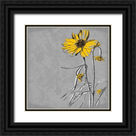 Flowers 4 Black Ornate Wood Framed Art Print with Double Matting by Grey, Jace