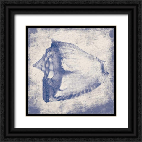 Conch shell Black Ornate Wood Framed Art Print with Double Matting by Grey, Jace