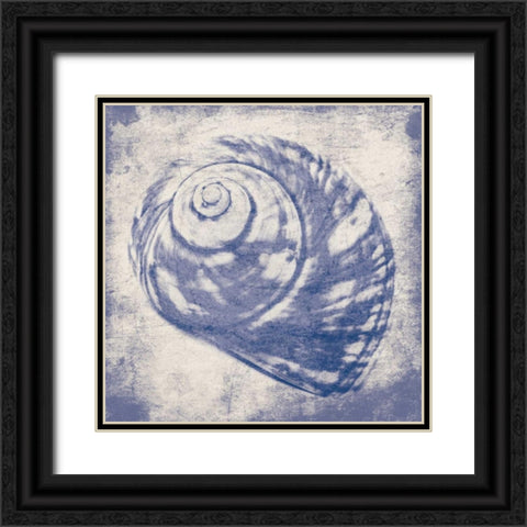 shell Black Ornate Wood Framed Art Print with Double Matting by Grey, Jace