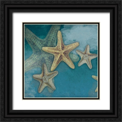 Starfish Black Ornate Wood Framed Art Print with Double Matting by Grey, Jace