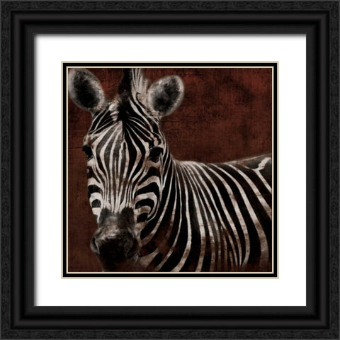 Zebra Black Ornate Wood Framed Art Print with Double Matting by Grey, Jace