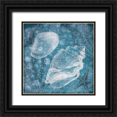 Shell Bubbles I Black Ornate Wood Framed Art Print with Double Matting by Grey, Jace
