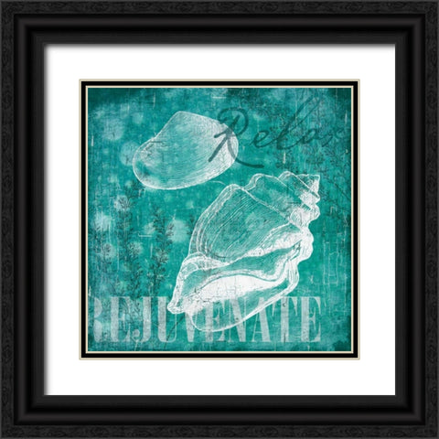 Shell Bubbles I in Teal Black Ornate Wood Framed Art Print with Double Matting by Grey, Jace