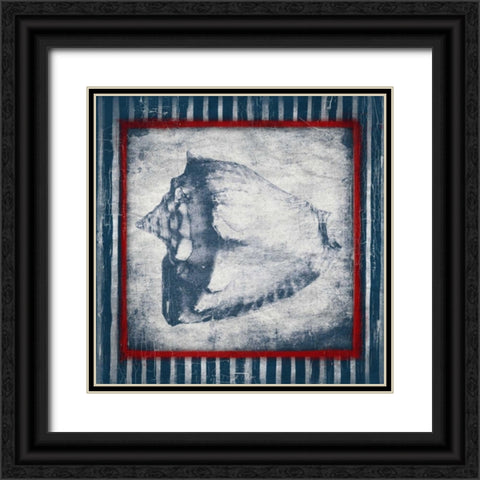 Coastal Shells Black Ornate Wood Framed Art Print with Double Matting by Grey, Jace