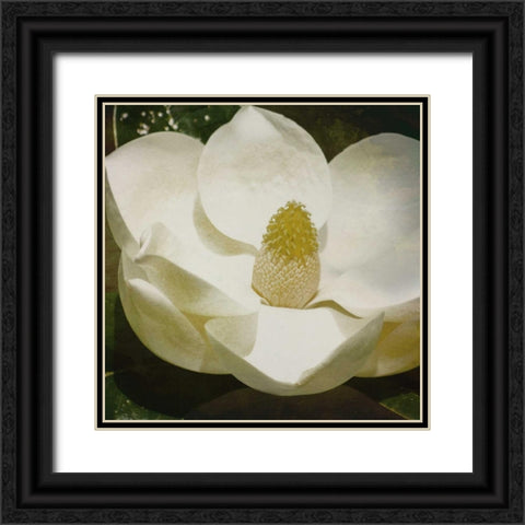 MAG Mate Black Ornate Wood Framed Art Print with Double Matting by Grey, Jace