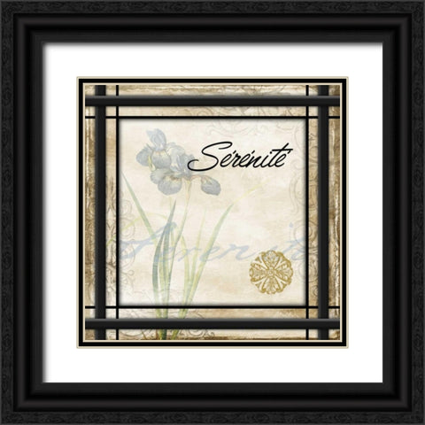 Serenite Black Ornate Wood Framed Art Print with Double Matting by Grey, Jace