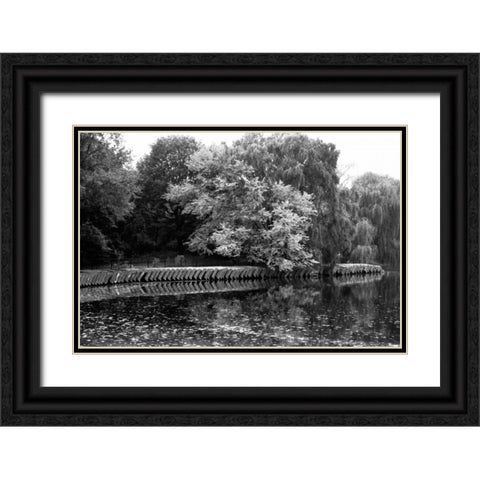entral Park Feather H Black Ornate Wood Framed Art Print with Double Matting by Grey, Jace