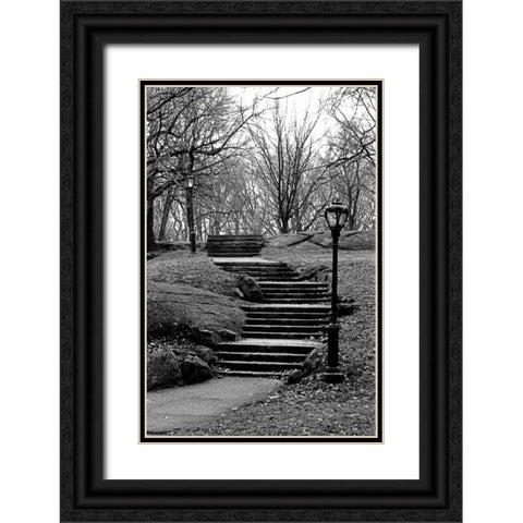 Central Park Stairs To Nowhere Black Ornate Wood Framed Art Print with Double Matting by Grey, Jace