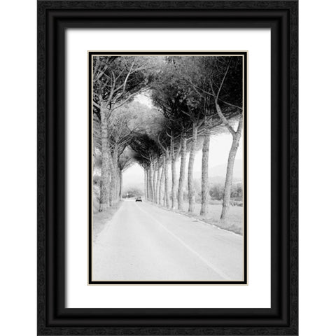 Italy 33 Black Ornate Wood Framed Art Print with Double Matting by Grey, Jace