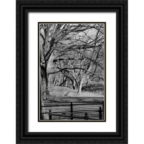 Central Park Image 1745 Black Ornate Wood Framed Art Print with Double Matting by Grey, Jace