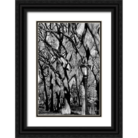 Central Park Image 1744 Black Ornate Wood Framed Art Print with Double Matting by Grey, Jace