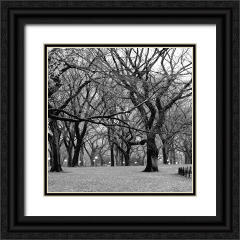 Central Park 2B Black Ornate Wood Framed Art Print with Double Matting by Grey, Jace