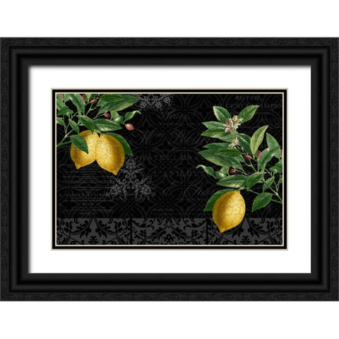 Lemon Drop Black Ornate Wood Framed Art Print with Double Matting by Allen, Kimberly