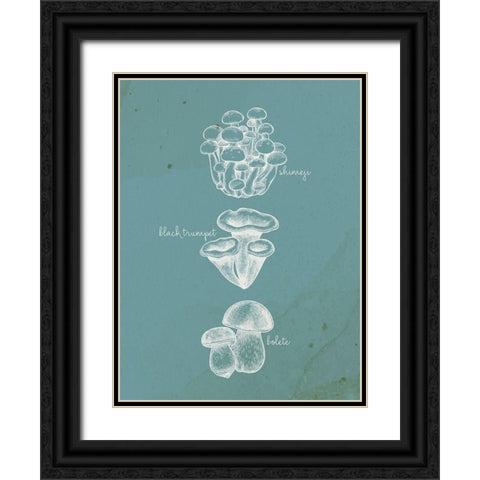 Mushroom Type 2 Black Ornate Wood Framed Art Print with Double Matting by Allen, Kimberly
