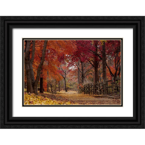 Autumn Stroll Black Ornate Wood Framed Art Print with Double Matting by Allen, Kimberly