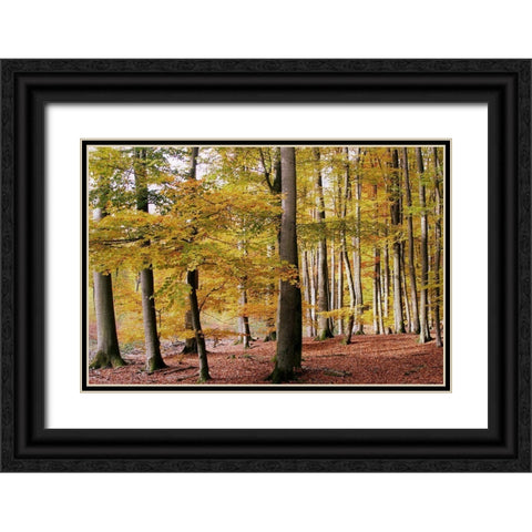 Autumn Walk Black Ornate Wood Framed Art Print with Double Matting by Allen, Kimberly