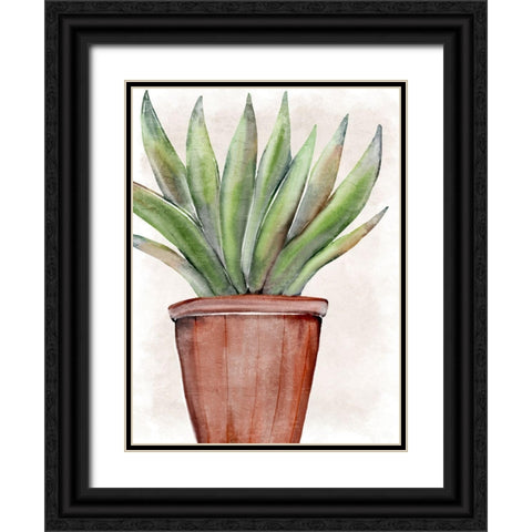 Succulent Plant 1 Black Ornate Wood Framed Art Print with Double Matting by Allen, Kimberly