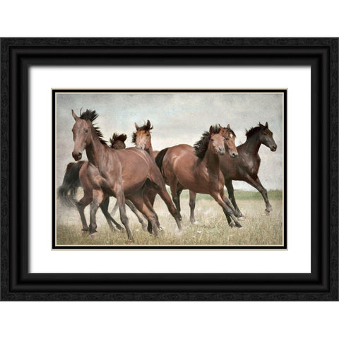 Running Wild Horses Black Ornate Wood Framed Art Print with Double Matting by Allen, Kimberly