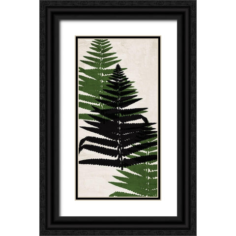 Pressed Ferns Panel 2 Black Ornate Wood Framed Art Print with Double Matting by Allen, Kimberly