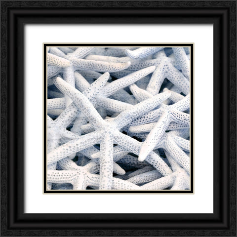 Starfish Beach 3 V3 Black Ornate Wood Framed Art Print with Double Matting by Allen, Kimberly