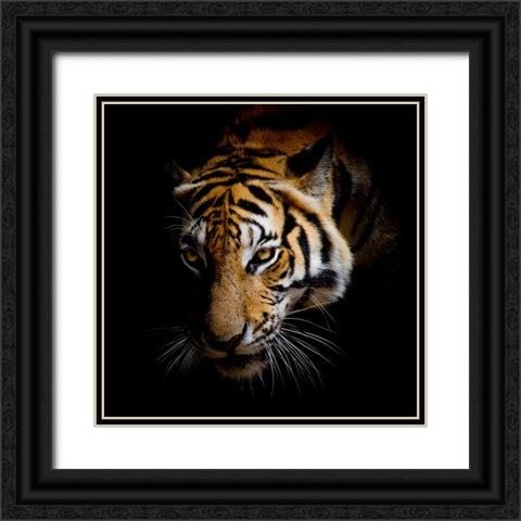 Harm Black Ornate Wood Framed Art Print with Double Matting by Allen, Kimberly