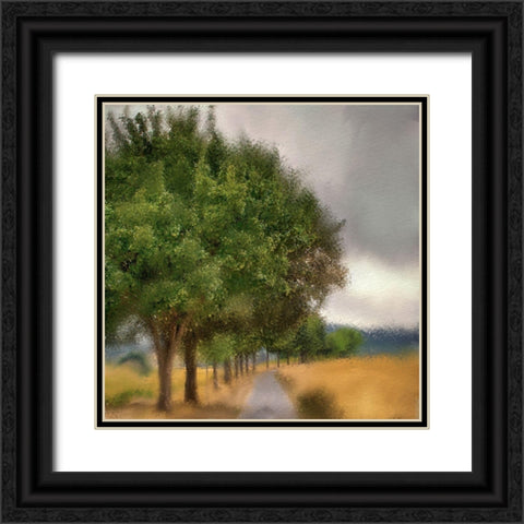 Dusky Sky Black Ornate Wood Framed Art Print with Double Matting by Allen, Kimberly