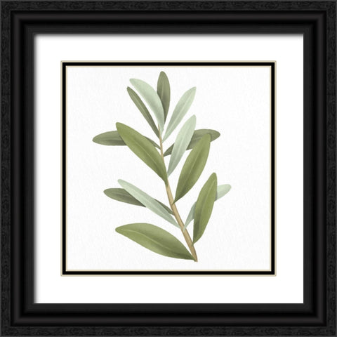 Olive Branch 1 Black Ornate Wood Framed Art Print with Double Matting by Allen, Kimberly