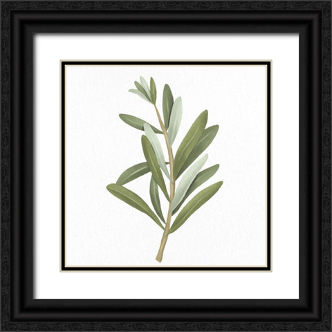 Olive Branch 2 Black Ornate Wood Framed Art Print with Double Matting by Allen, Kimberly