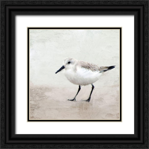 Sandpiper 2 Black Ornate Wood Framed Art Print with Double Matting by Allen, Kimberly