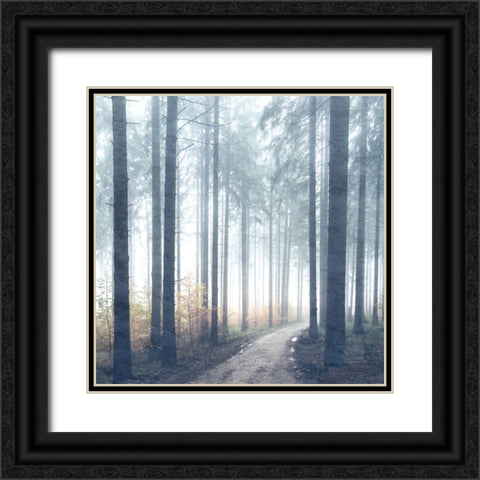 Forest Road Black Ornate Wood Framed Art Print with Double Matting by Allen, Kimberly