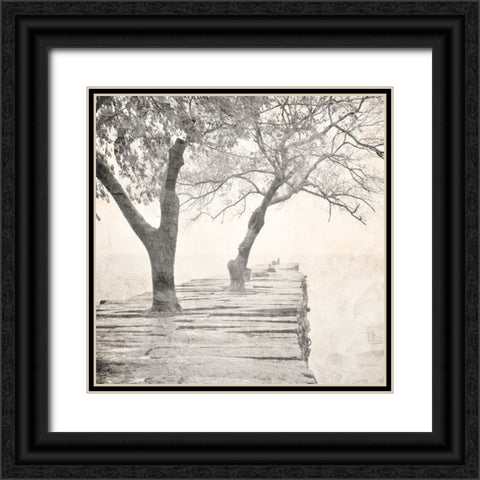 Tree Pier Black Ornate Wood Framed Art Print with Double Matting by Allen, Kimberly