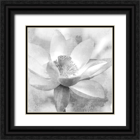 Lotus Black Ornate Wood Framed Art Print with Double Matting by Allen, Kimberly