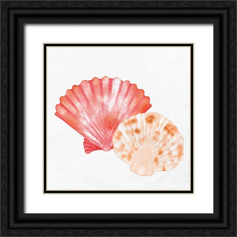 Scallop Shells 1 Black Ornate Wood Framed Art Print with Double Matting by Allen, Kimberly