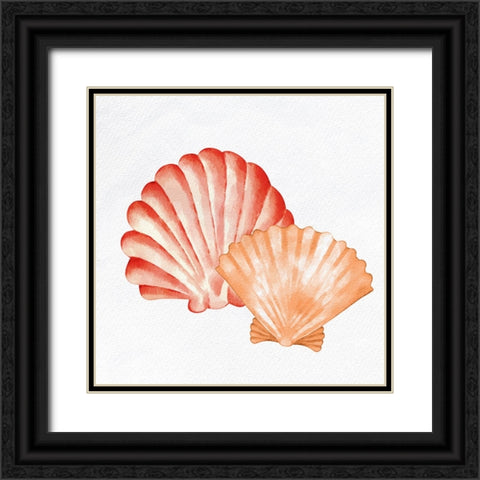 Scallop Shells 2 Black Ornate Wood Framed Art Print with Double Matting by Allen, Kimberly
