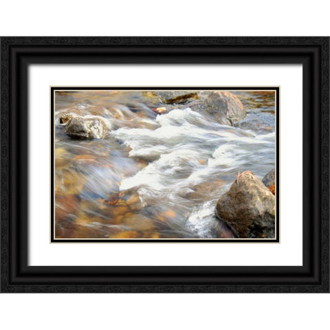 In Motion 2 Black Ornate Wood Framed Art Print with Double Matting by Grey, Jace