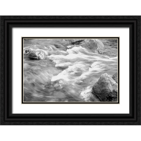 In Motion BW 2B Black Ornate Wood Framed Art Print with Double Matting by Grey, Jace