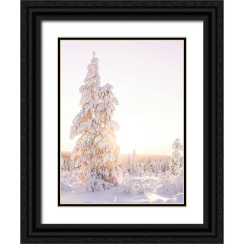Cotton Candy Christmas Black Ornate Wood Framed Art Print with Double Matting by Straatsma, Leah