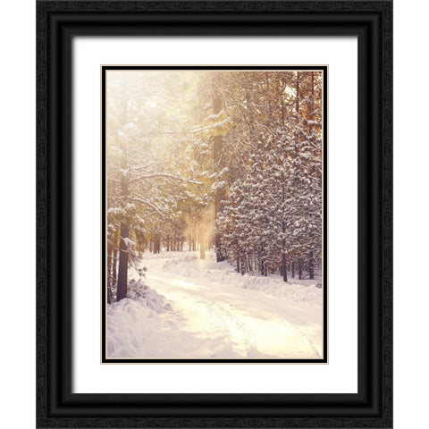 Magical Winter Path Black Ornate Wood Framed Art Print with Double Matting by Straatsma, Leah