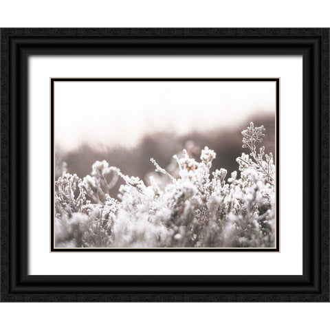 Cashmere Frost Black Ornate Wood Framed Art Print with Double Matting by Straatsma, Leah