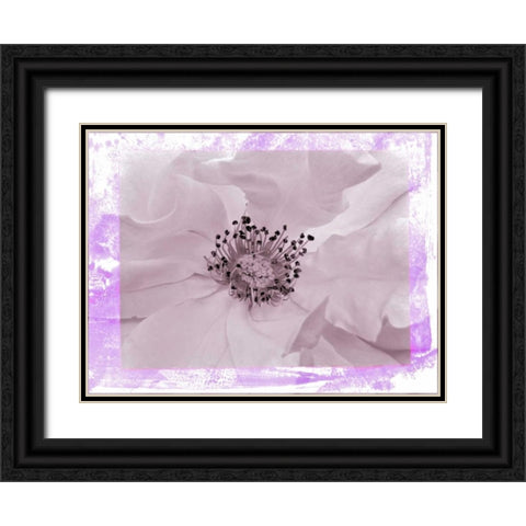 Rosenkern Rahmen 2 Black Ornate Wood Framed Art Print with Double Matting by May