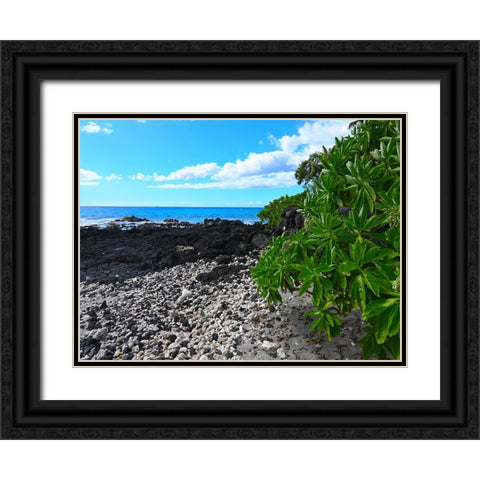 Shoreline  Path Black Ornate Wood Framed Art Print with Double Matting by Nebula, Melissa